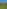 Forest investment